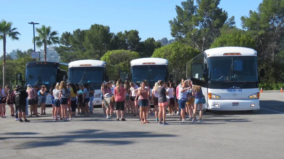 bus group